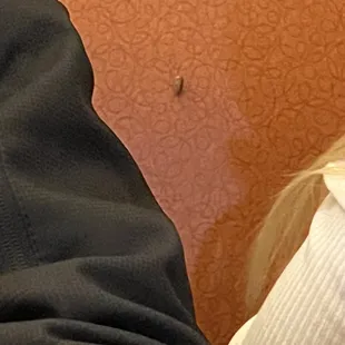 A roach