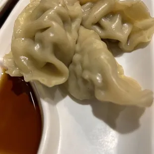 Steamed gyozo dumplings
