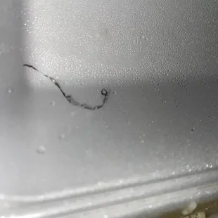 A metal shaving in sushi