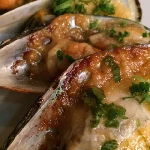 shellfish, mussels, oysters and mussels, food, oysters