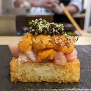 Hokkaido uni - toro