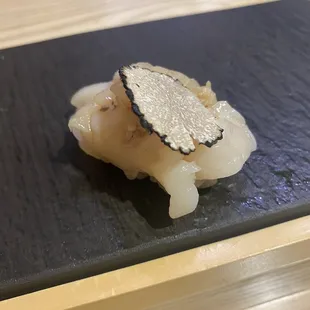 Sea Scallop