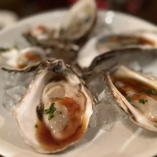 Oyster sampler