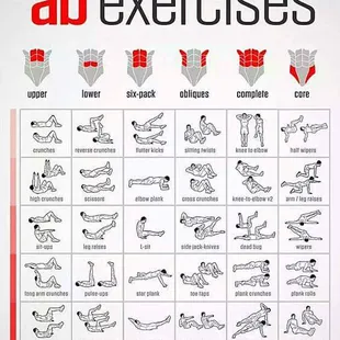 a chart of exercises to do in the gym