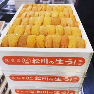 Special Uni from Hokkaido Japan