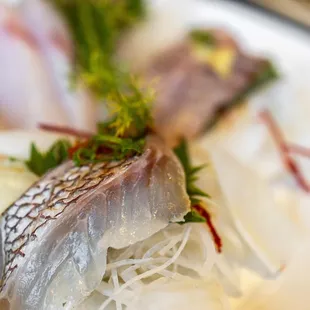 Aji (Horse Mackerel)