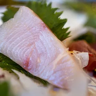 Hamachi (Yellowtail)