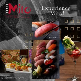 Experience Mito