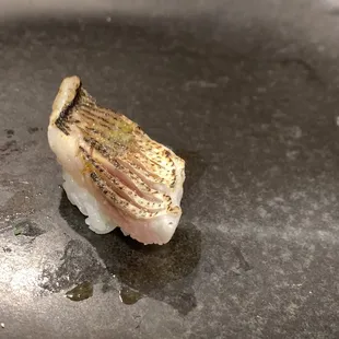 i forgot what this fish was called