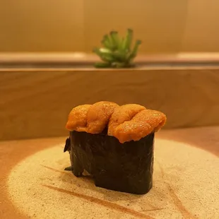 Sea Urchin