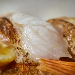 Aburi nodoguro