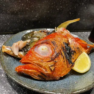 Red Snapper