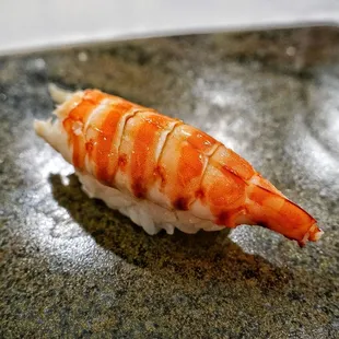 Tiger prawn