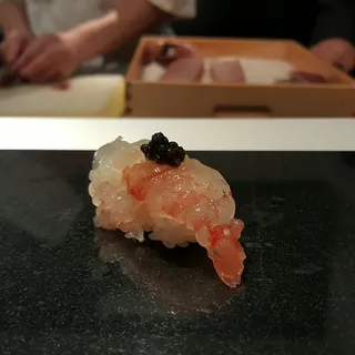 Spotted Prawn