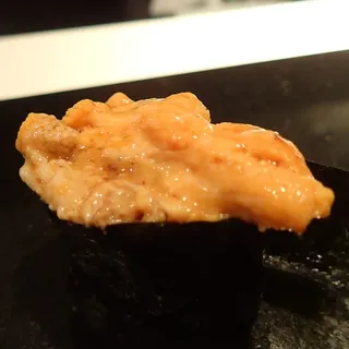 Sea Urchin