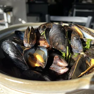 PEI Mussels