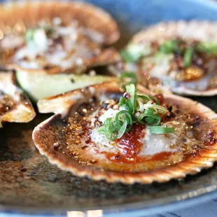 Grilled Scallops
