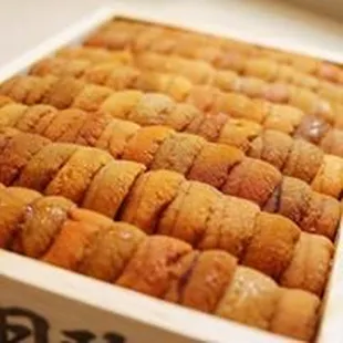 Uni from Japan