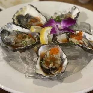 mussels, shellfish, food, oysters, oysters and mussels