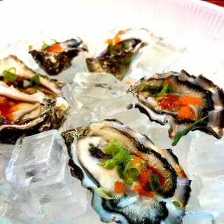 Fresh Oysters