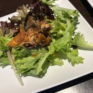Salmon Skin Salad