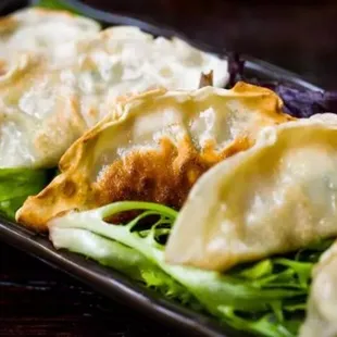 Gyoza