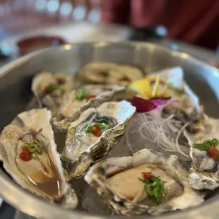 a bowl of oysters