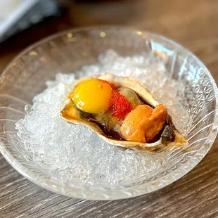 Uni Oyster