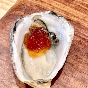Kusshi Oyster