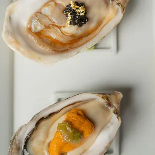 oysters and mussels, food, shellfish, oysters, mussels