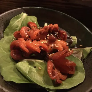 Octopus