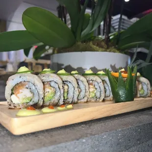 sushi and sashimi