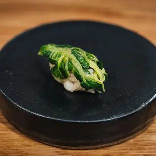 Daikon radish sprout