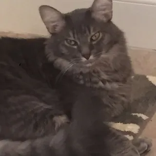 R S.