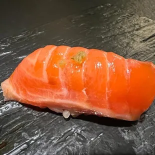 Ocean Trout