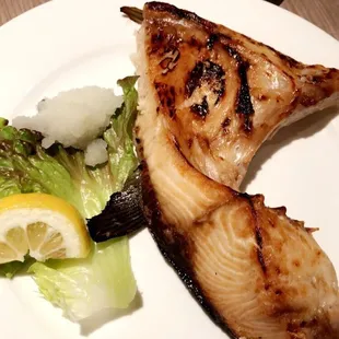 Collarbone of yellowtail