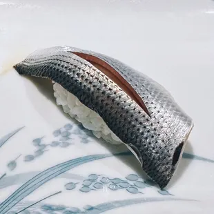 Gizzard shad (kohada)