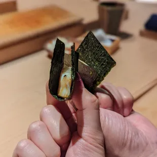Japan mussel