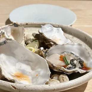 Oysters