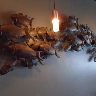 Wall of fish!