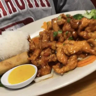 Volcano Chicken Lunch