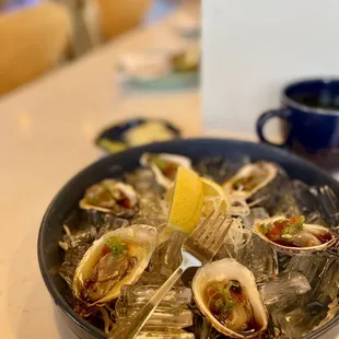 fresh oyster