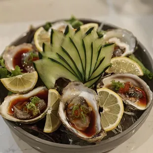 Fresh Oysters