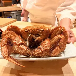 bbq chicken, fried chicken wings, chicken wings, fried chicken, chicken wings and fried chicken, poultry, food, bbq wings, chicken