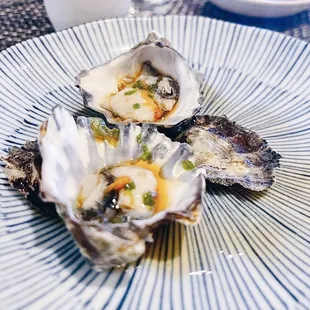 Kumamoto Oysters