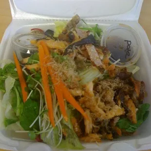 Salmon Skin Salad