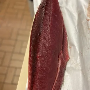 tuna