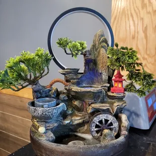 a bonsai tree in a pot