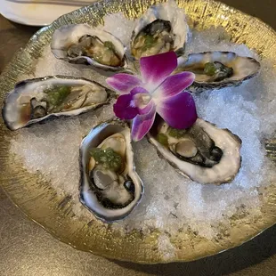 oysters and mussels, oysters, food, mussels, shellfish