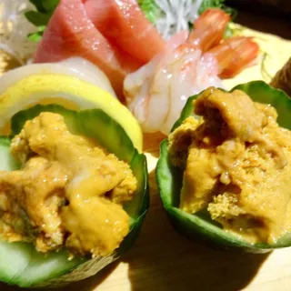 California Sea Urchin #68